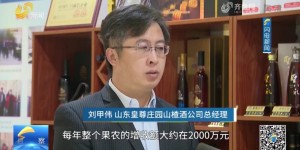 主流媒体报道皇尊庄园助力乡村振兴之路